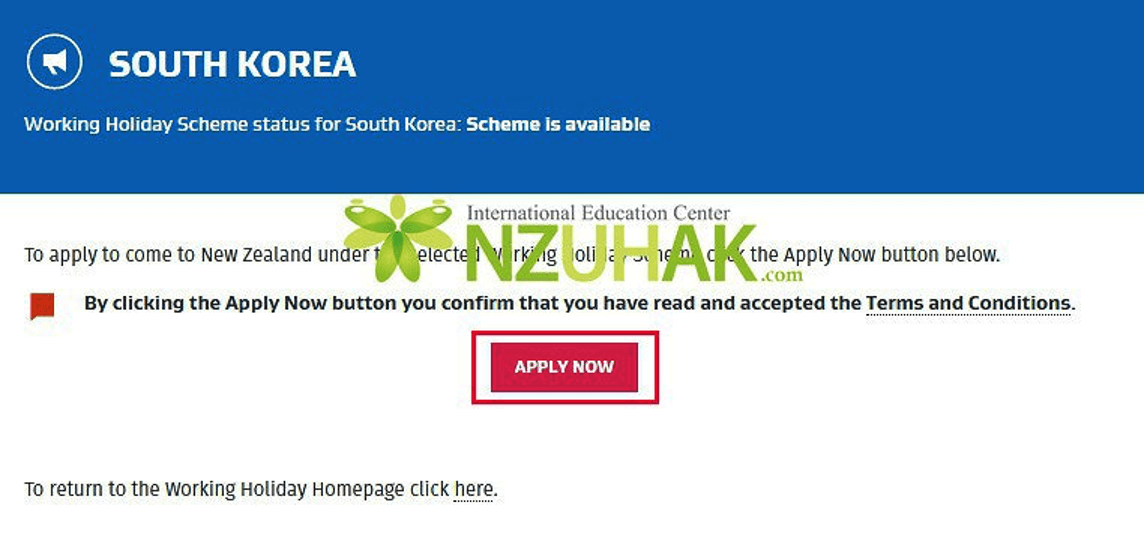 Apply Now 버튼