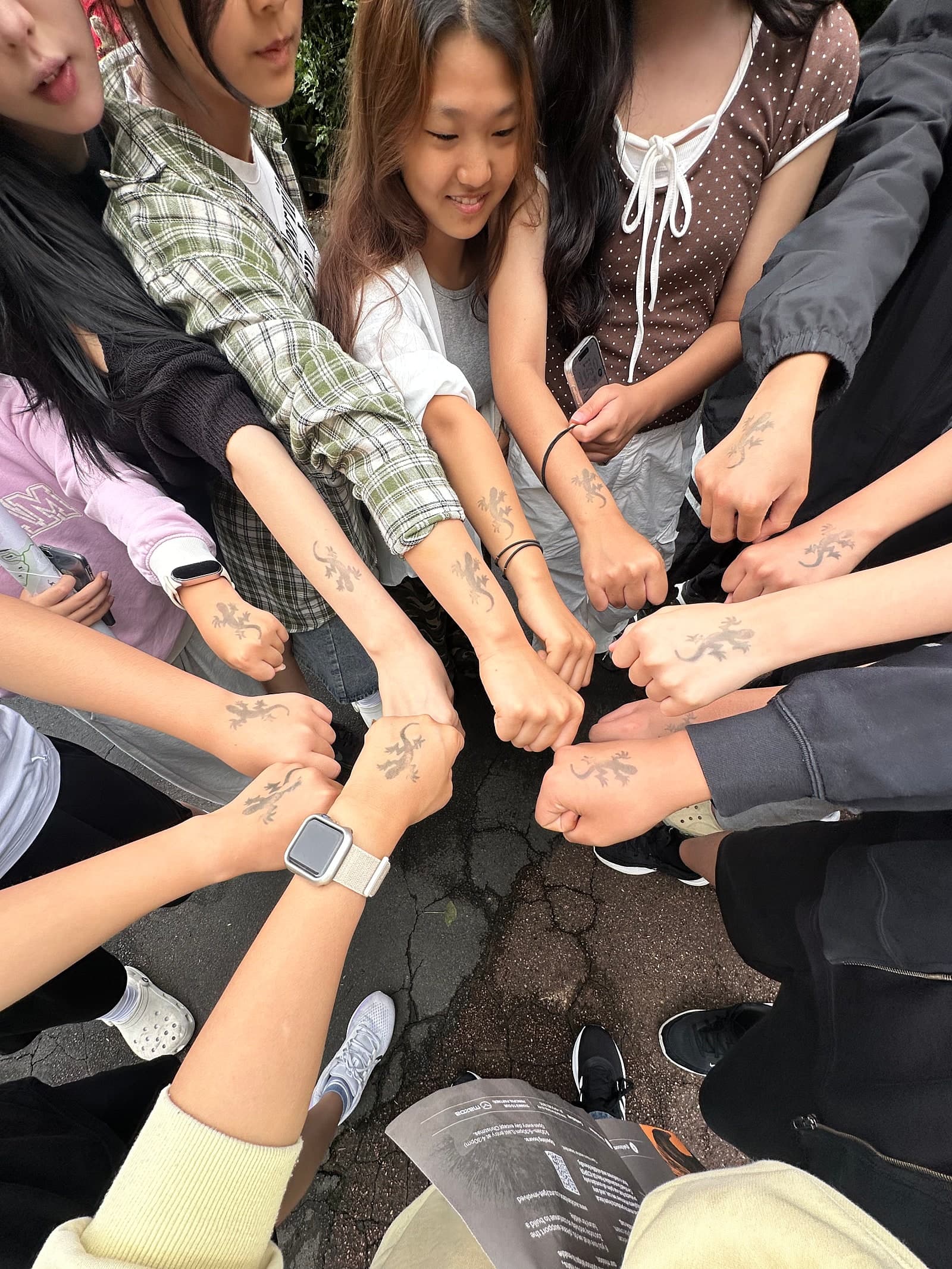 뉴질랜드 스쿨링 캠프, 오클랜드 동물원