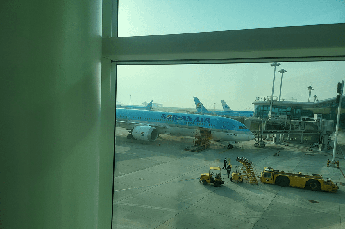 뉴질랜드 1년살기 현실 후기 (초등학생 조기유학 경험)