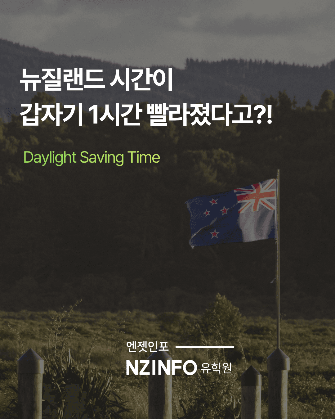 2026 뉴질랜드 썸머타임 시작|한국과 뉴질랜드 시차 3시간→4시간