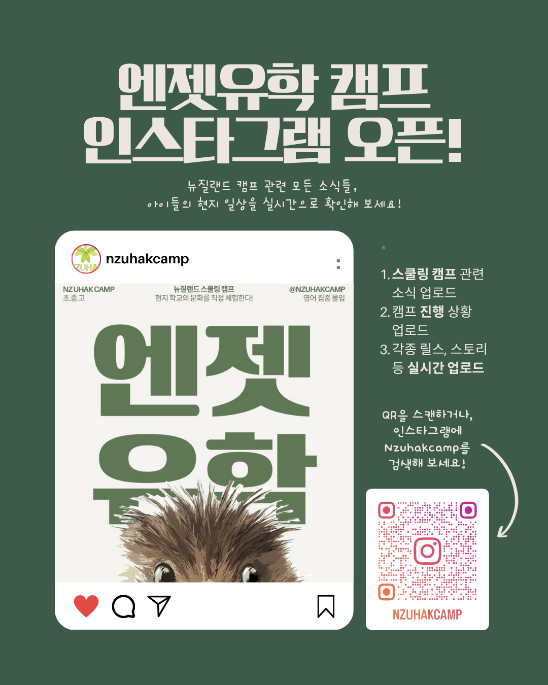 뉴질랜드 엔젯유학 스쿨링 캠프 인스타그램 오픈!