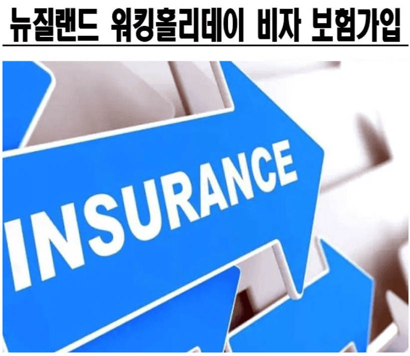 뉴질랜드 워킹홀리데이 비자 보험 및 비용 안내